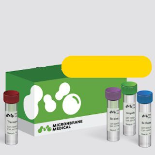 Kit de prueba para la investigación - Unison Ultralow DNA NGS Library Preparation Kit/48 rxns [NLK - Micronbrane Medical Co., Ltd. - para ADN / para ADN / para secuenciación NGS