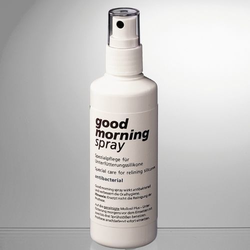 Pulverizador de desinfectante para higiene dental - 02284 - DETAX GmbH - atomizador / portátil de mano