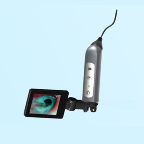 Otoscopio veterinario vídeo - JZVet-EX02 - JZ Biotech - para animales pequeños / para animales grandes / para animales de compañía