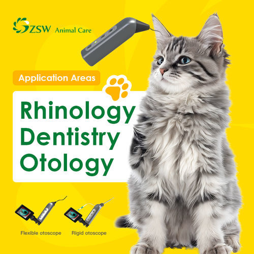 otoscopio veterinario vídeo - JZ Biotech