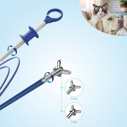 Pinza veterinaria - JZ-A-23-1600 - JZ Biotech - de biopsia / desechable