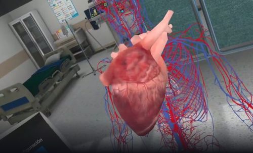 Simulador de anatomía - MetaMedics - de formación / de realidad virtual
