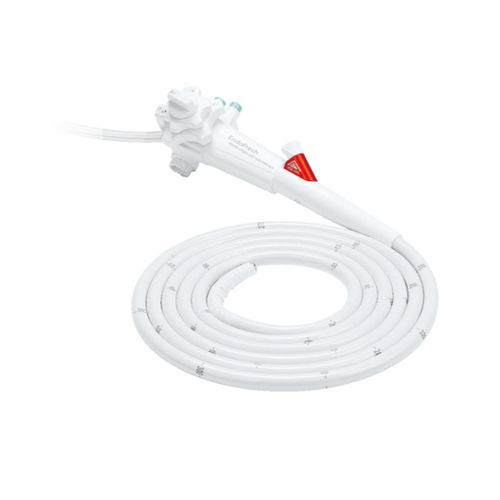 Gastroscopio veterinario vídeo - VCE-33L - EndoFresh - para animales pequeños / para animales grandes / para felinos