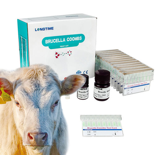 Kit de prueba para enfermermedades infecciosas - Zhuhai Longtime Biological Technology Co., Ltd. - para animales / para bacterias / de Brucella