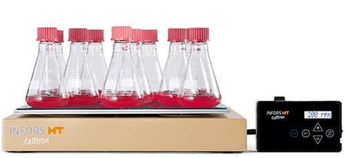 Agitador de laboratorio magnético - Celltron  - Infors AG - digital / para incubadora de CO2 / de mesa