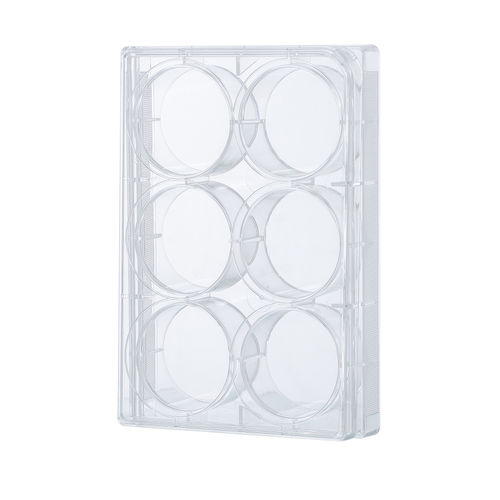Microplaca de laboratorio - SPCP series - Guangzhou Four E's Scientific Co., Ltd. - de cultivo celular / de 24 orificios / de 12 orificios