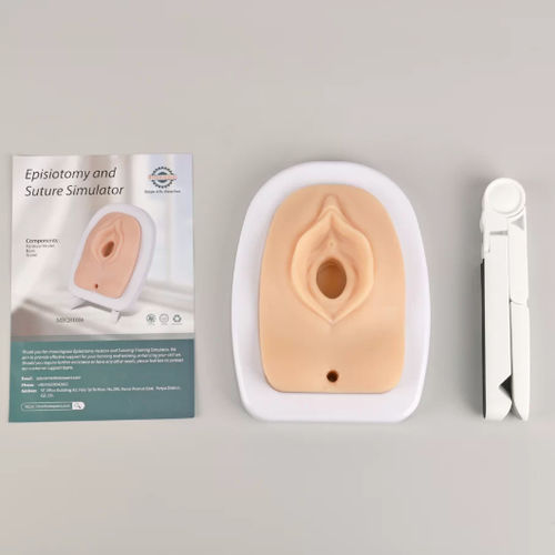 Simulador de formación - MEQ01004 - MedEduQuest. - para sutura / de reparación perineal / para atención general