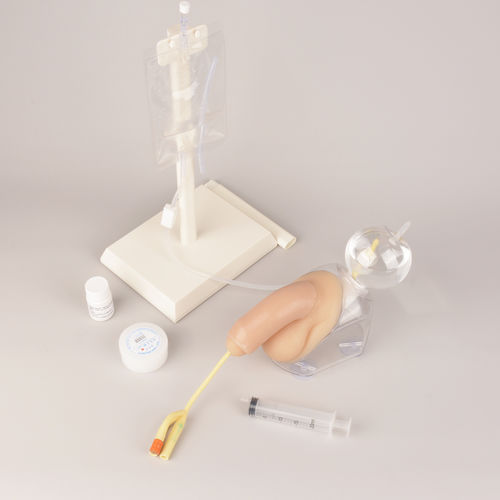 Simulador de formación - MEQ05004 - MedEduQuest. - de cateterismo urinario / para atención general / para cuidados clínicos