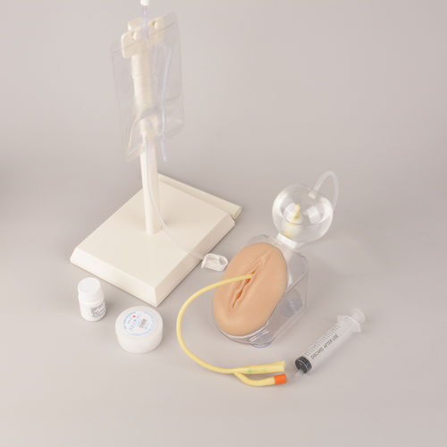 Simulador de formación - MEQ05005 - MedEduQuest. - de cateterismo urinario / para atención general / para cuidados clínicos