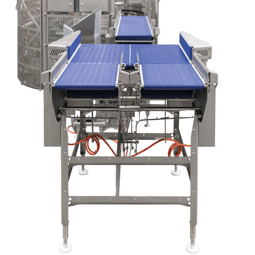 Transportador para la industria agroalimentaria - Moda - Amcor Embalagens Flexíveis - horizontal / de alta velocidad