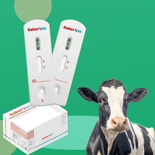 Prueba rápida de brucelosis - SaberVet BRU Ab - Hangzhou Antigenne Technology Co. Ltd - veterinaria / para bovinos / de Brucella