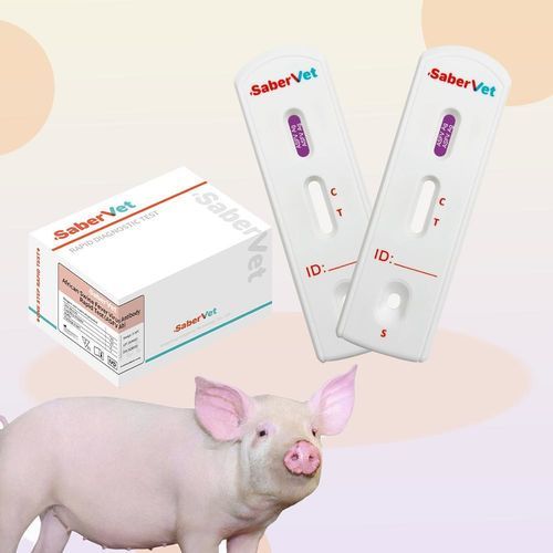 Prueba rápida para enfermermedades infecciosas - SaberVet ASFV Ag - Hangzhou Antigenne Technology Co. Ltd - veterinaria / para porcinos / para virus