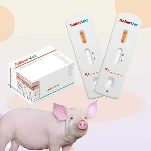 Prueba rápida para enfermermedades infecciosas - SaberVet CSFV Ab - Hangzhou Antigenne Technology Co. Ltd - veterinaria / para porcinos / para virus