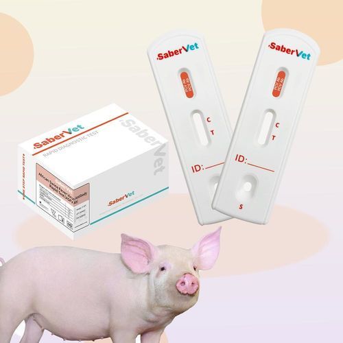 Prueba rápida para enfermermedades infecciosas - SaberVet PCV Ab - Hangzhou Antigenne Technology Co. Ltd - veterinaria / para porcinos / circovirus porcino