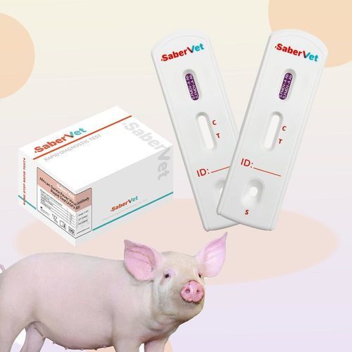Prueba rápida para enfermermedades infecciosas - SaberVet S.FMDV-A - Hangzhou Antigenne Technology Co. Ltd - veterinaria / para porcinos / para virus