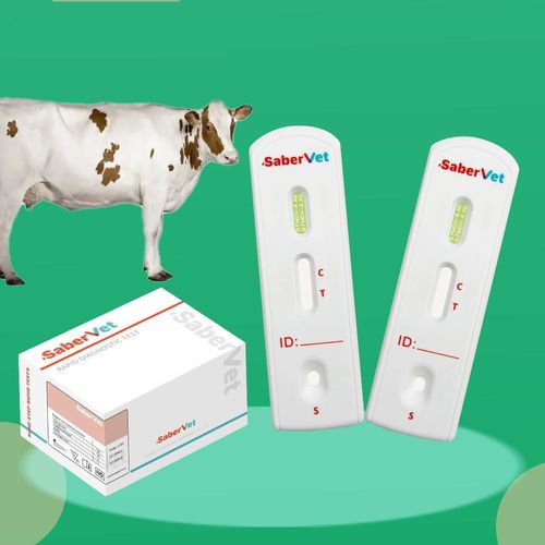 Prueba rápida para enfermermedades infecciosas - SaberVet FMDV-A Ab - Hangzhou Antigenne Technology Co. Ltd - veterinaria / para bovinos / para virus