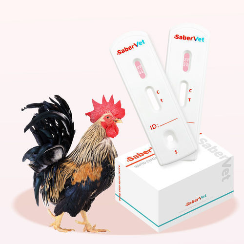 Prueba rápida de gripe aviar - SaberVet AIV Ag - Hangzhou Antigenne Technology Co. Ltd - veterinaria / para virus / de influenza A