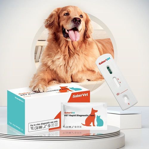 Prueba rápida para enfermermedades infecciosas - Sabervet CCV Ag - Hangzhou Antigenne Technology Co. Ltd - veterinaria / para perro / para antígenos