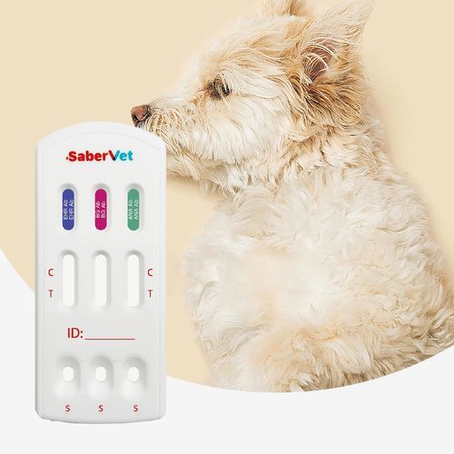 Prueba rápida para enfermermedades infecciosas - Sabervet EHR/BG/ANA Ab - Hangzhou Antigenne Technology Co. Ltd - veterinaria / para cánidos / de Ehrlichia