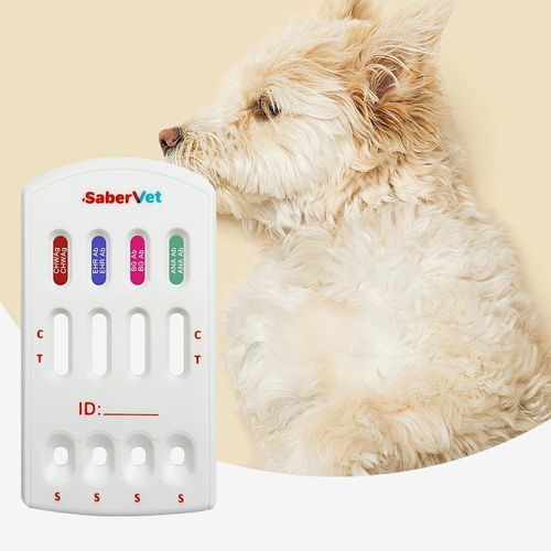 Prueba rápida para enfermermedades infecciosas - SaberVet CHW Ag/EHR/BG/ANA Ab - Hangzhou Antigenne Technology Co. Ltd - veterinaria / para cánidos / de Ehrlichia