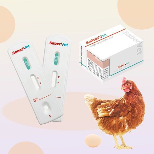 Prueba rápida para enfermermedades infecciosas - SaberVet NDV Ag - Hangzhou Antigenne Technology Co. Ltd - veterinaria / para aves de corral / para virus