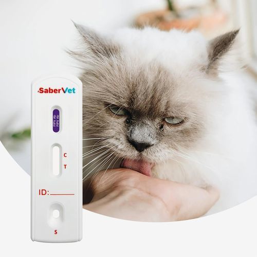 Prueba rápida para enfermermedades infecciosas - SaberVet FIPV Ab - Hangzhou Antigenne Technology Co. Ltd - veterinaria / para gatos / para anticuerpos