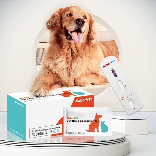 Prueba rápida para enfermermedades infecciosas - Sabervet CPL - Hangzhou Antigenne Technology Co. Ltd - veterinaria / para cánidos / de lipasa