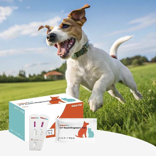 Prueba rápida para enfermermedades infecciosas - Sabervet CDV/CAV/CIV Ag - Hangzhou Antigenne Technology Co. Ltd - veterinaria / para cánidos / para virus