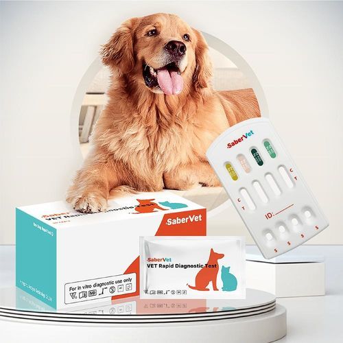 Prueba rápida de giardiasis - SaberVet CDV/CPV/CCV/GIA Ag - Hangzhou Antigenne Technology Co. Ltd - para el moquillo / veterinaria / para cánidos