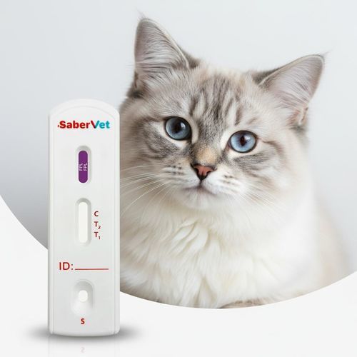 Prueba rápida para enfermedades inflamatorias del intestino - Sabervet FPL - Hangzhou Antigenne Technology Co. Ltd - veterinaria / para felinos / de lipasa