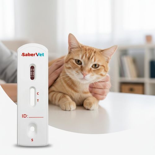 Prueba rápida veterinaria - SaberVet F.ANA - Hangzhou Antigenne Technology Co. Ltd - para enfermermedades infecciosas / para felinos / para anticuerpos