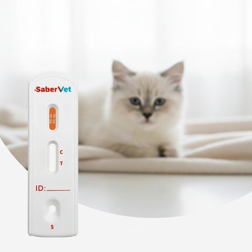 Prueba rápida de enfermedades autoinmunes - Sabervet FIV Ab - Hangzhou Antigenne Technology Co. Ltd - veterinaria / para felinos / para virus