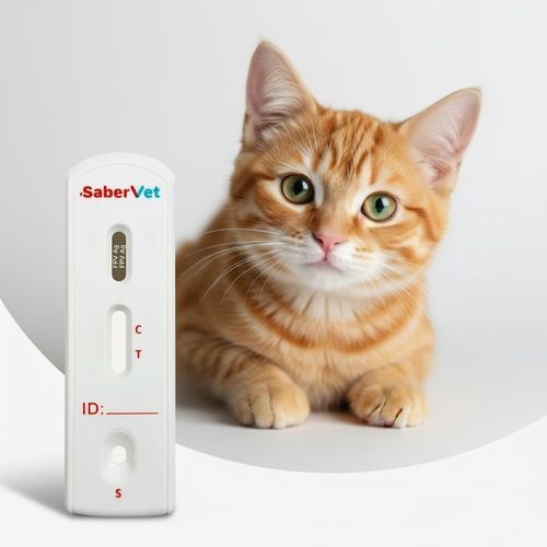 Prueba rápida para enfermermedades infecciosas - SaberVet FPV Ag - Hangzhou Antigenne Technology Co. Ltd - veterinaria / para felinos / de plomo