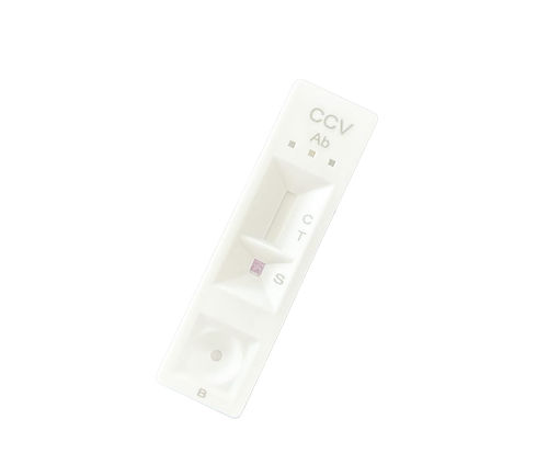 Kit de prueba para enfermermedades infecciosas - CCV0144 - Neo-nostics - para animales / para anticuerpos / de suero