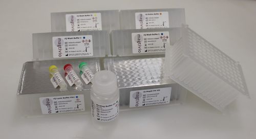 Kit de prueba para extracción del ADN - rQ - magtivio B.V. - de suero / por plasma / nasofaríngeo