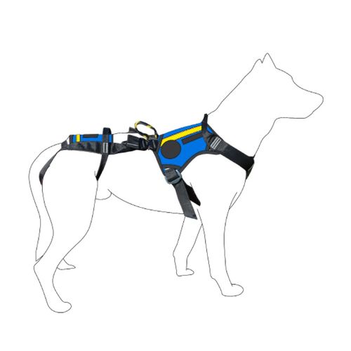 Arnés veterinario - SEC1280 - Dimatex Securite SARL - para perros