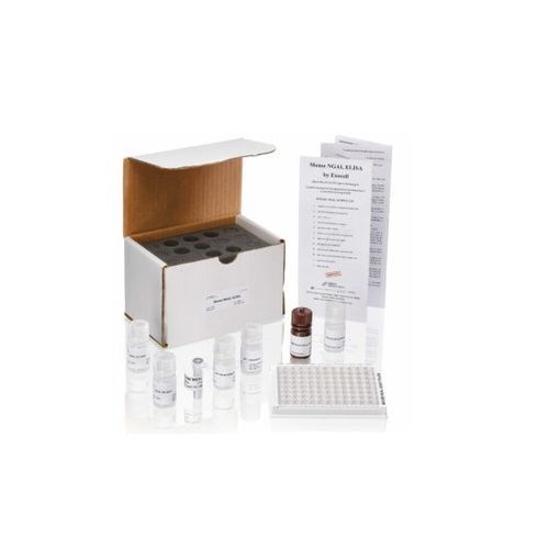 Kit ELISA - Ethos  - Ethos Biosciences - para la investigación / de suero / de orina