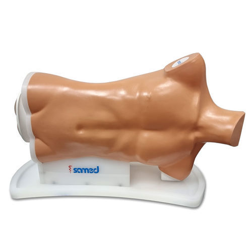 Simulador de colonoscopia - LS90 - Samed - de formación / de gastroenterología / de parte superior del cuerpo