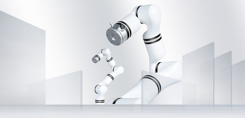 Brazo robótico de masaje - RM65-ZF - RealMan Intelligent Technology - para el sector médico / de laboratorio