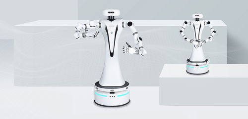 Brazo robótico de masaje - RMC-DA - RealMan Intelligent Technology - para el sector médico / de laboratorio