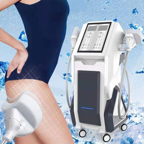 Unidad de criolipólisis - 2 handle 6 cartridges Cryolipolysis-2 - Miramhoo Aesthetics - en carro
