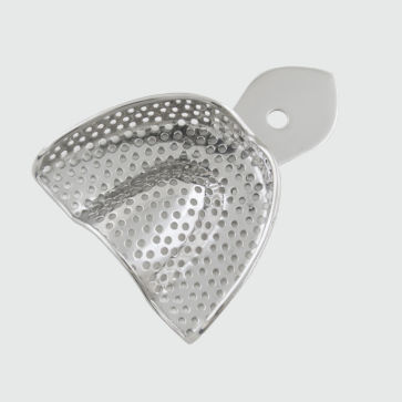 Molde dental dentadura parcial - V-001-00 - Dr Frigz Inc. - perforado