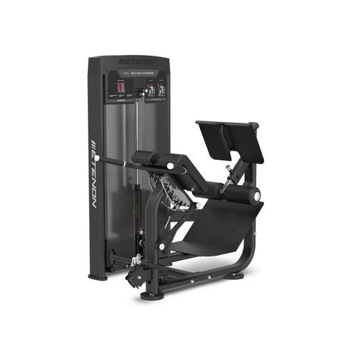 Máquina de musculación extensión de espalda - R8403 - Etenon Fitness