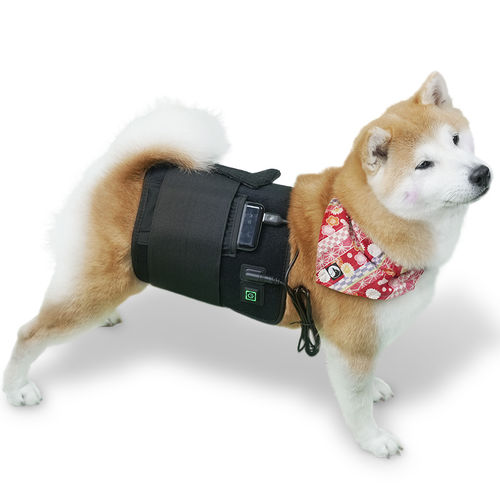 Láser de fotoestimulación veterinaria para animales de compañía - LED-Wrap - Hubei Theypet Technology - para équidos / ponible