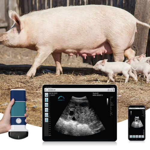 Ecógrafo veterinario de mano - LUS110C - Hukui Biotechnology Co.,Ltd. - multifuncional / para porcinos / blanco y negro