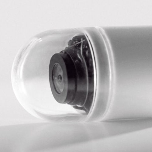 Cápsula para endoscopia digestiva - BioCam