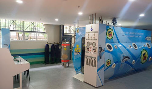 Cabina hiperbárica oxigenoterapia - OMEGA 8 - Barotech - multiplaza