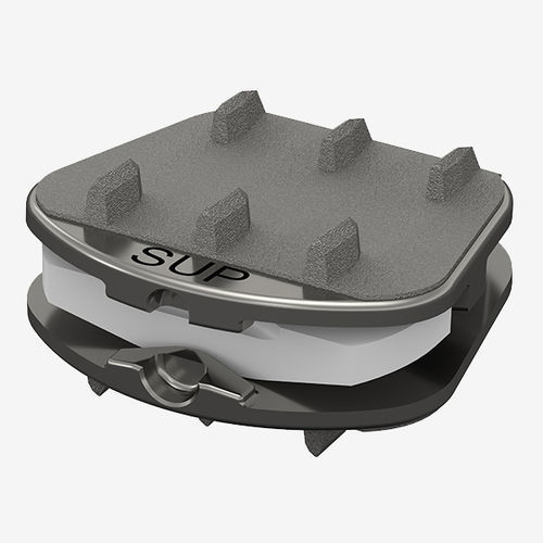 Prótesis de disco cervical - Synergy Spine Solutions