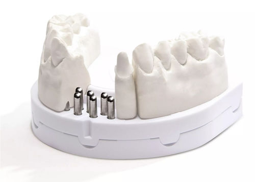 Modelo anatómico de dentadura - optibase exclusiv  - Dentona AG - de implantología / de demostración