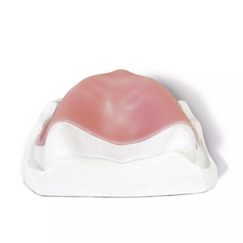 Material dental de composite - base LC - Dentona AG - para restauración dental / fotopolimerizable